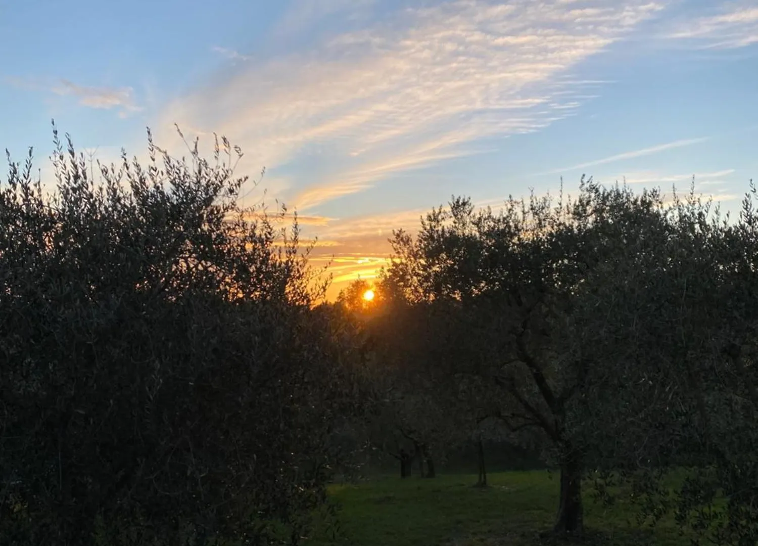 Aparthotel Residence19Ilborgo Asolo